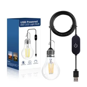 BRIMAX DC5V Clear Plastic 3W A60 USB LED Bulb 2700K (1Pack)