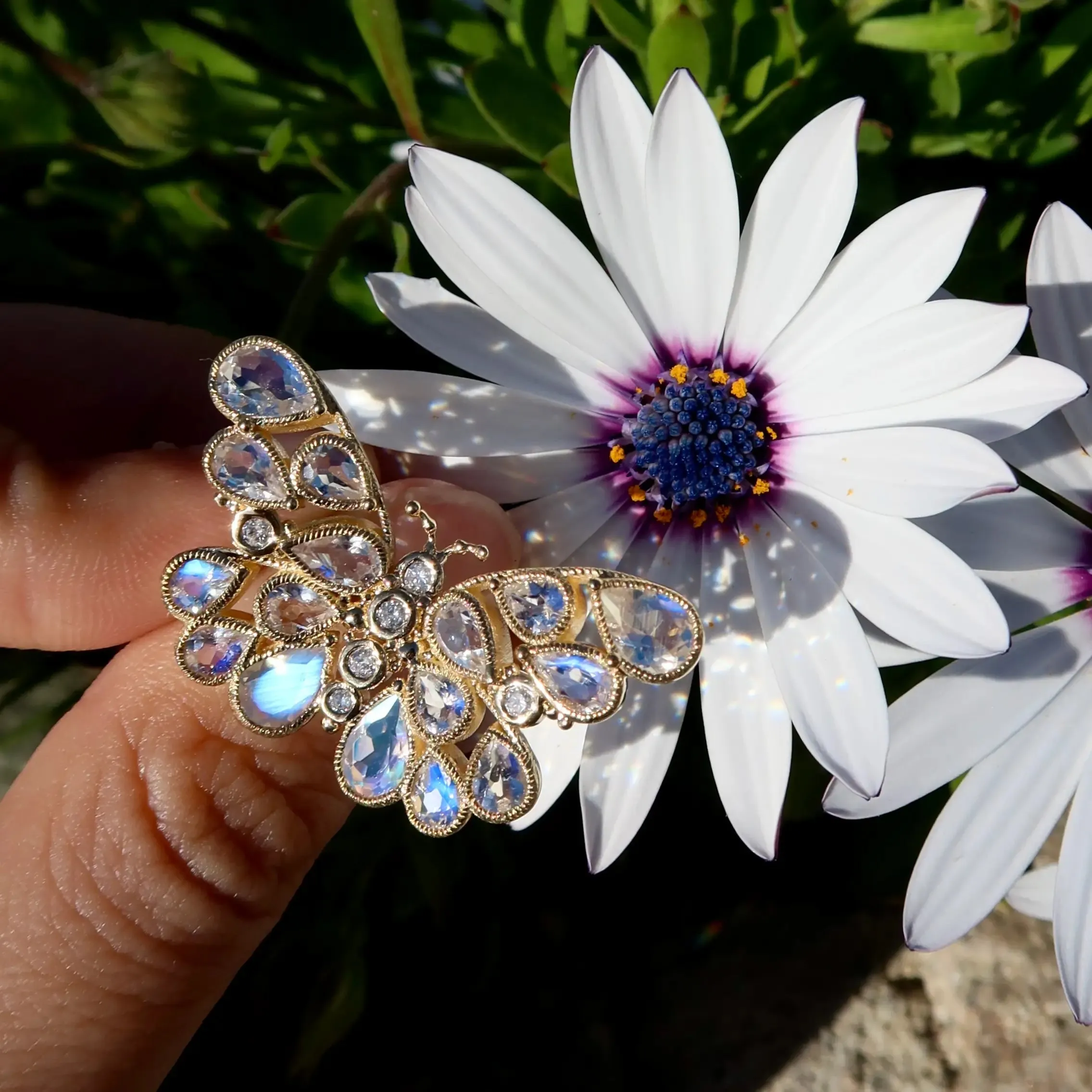 Butterfly Moonstone Diamond Cocktail Ring