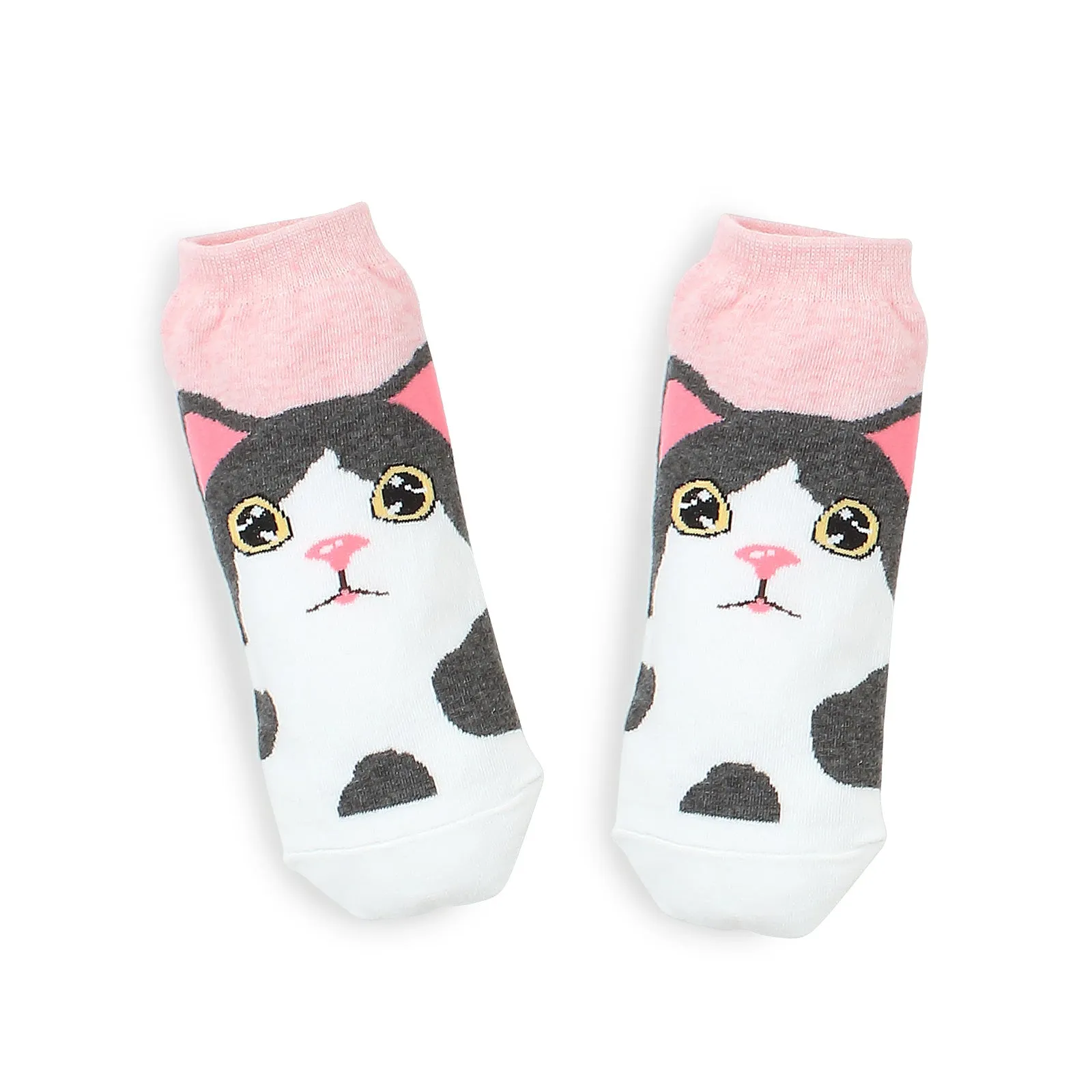 Odd eye kitten tabby cat socks (5 pairs) IR15