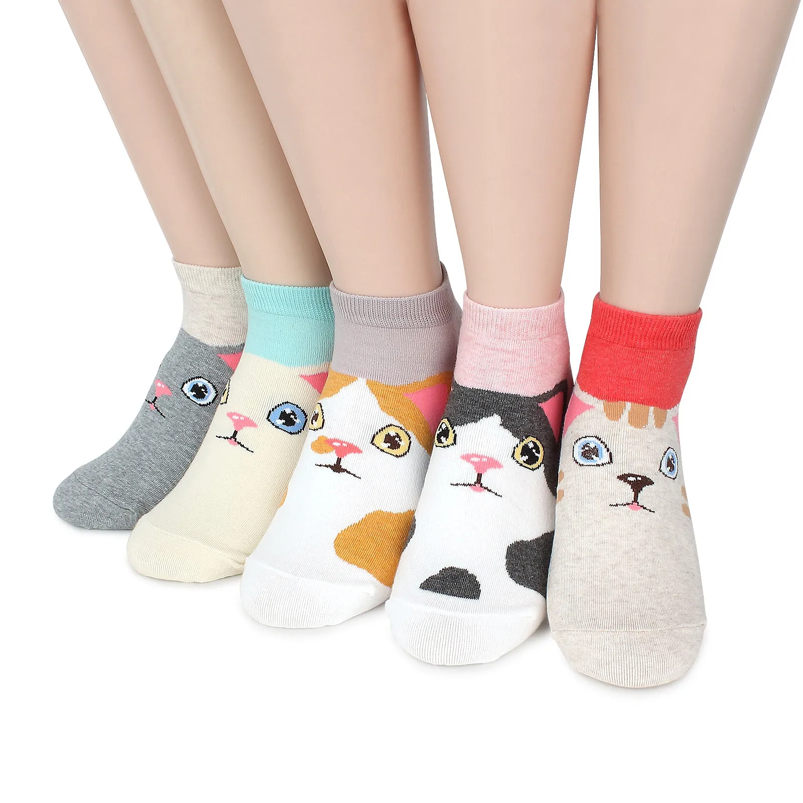 Odd eye kitten tabby cat socks (5 pairs) IR15