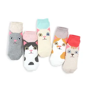 Odd eye kitten tabby cat socks (5 pairs) IR15