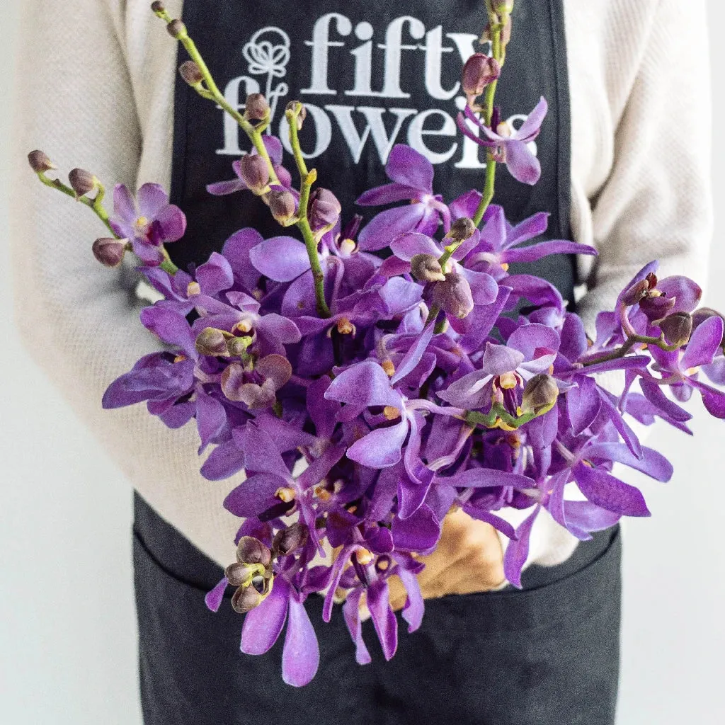 Purple Bulk Mokara Orchids