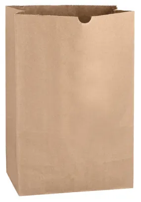 Wholesale Natural Kraft 1/6 bbl. Grocery Bag - 6G16BN